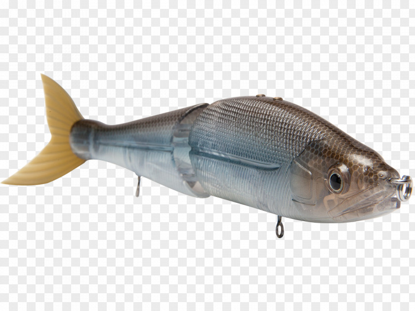 Fishing Swimbait Baits & Lures Milkfish PNG