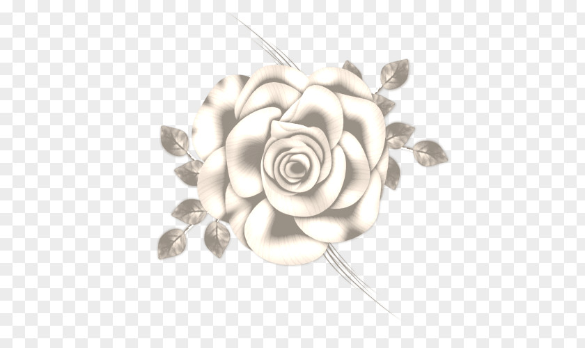 FLOR BLANCA Cut Flowers Body Jewellery Petal PNG