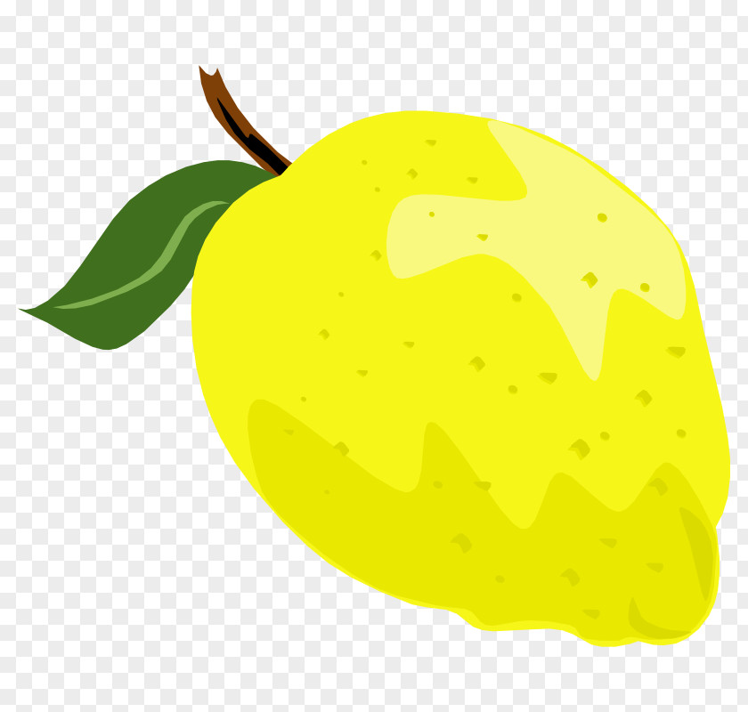 Lemon Clip Art Openclipart PNG