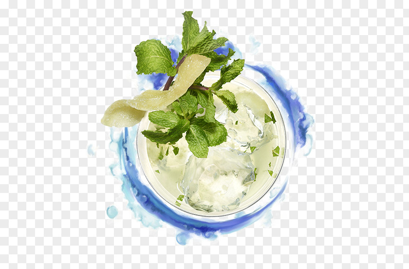Mojito Mint Julep Cocktail Garnish Salty Dog PNG