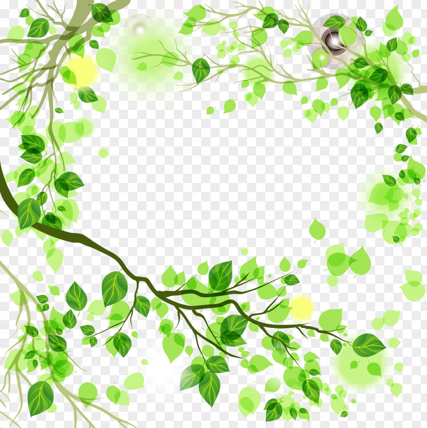 Vine Leaf Green PNG