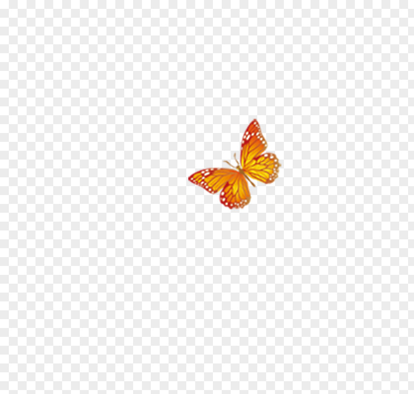 Butterfly Pattern PNG