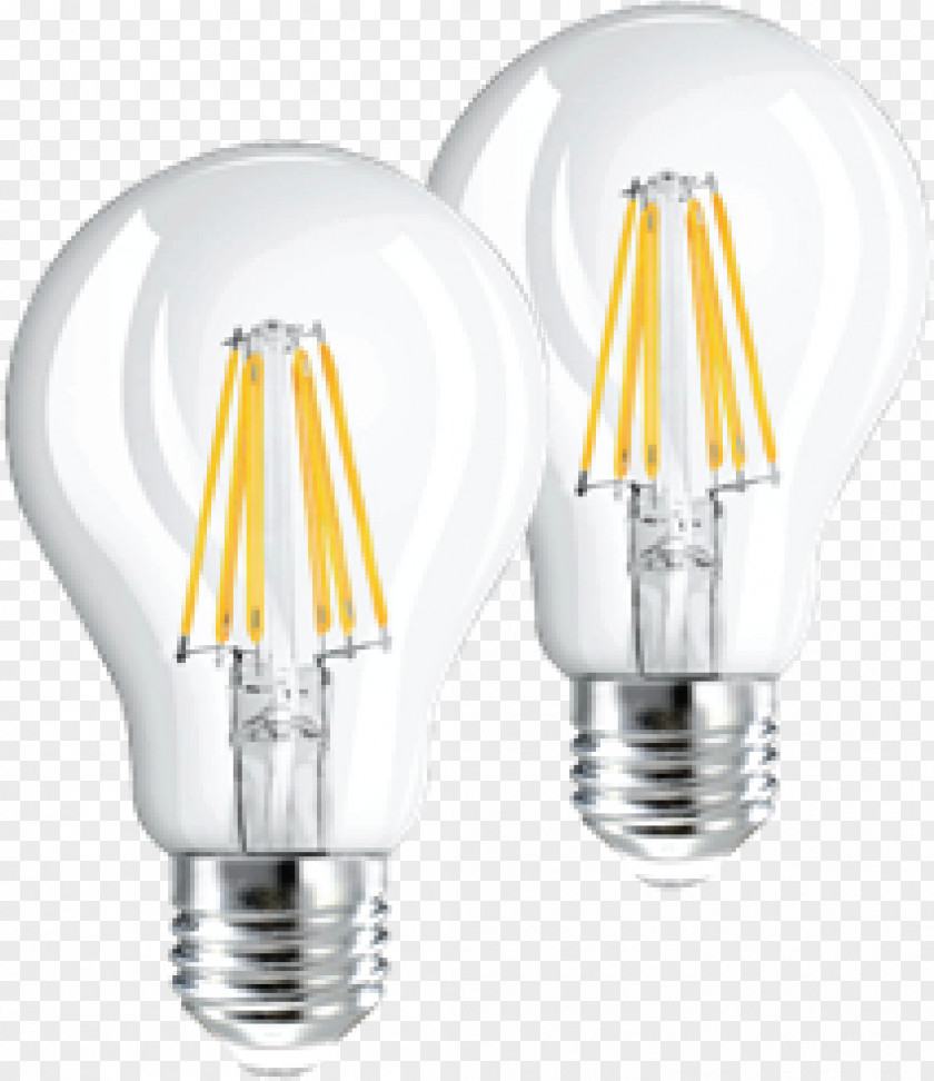 Compact Fluorescent Lamp Light Bulb Cartoon PNG