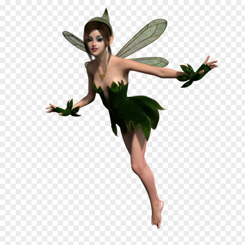 Fairy Elf Data PNG