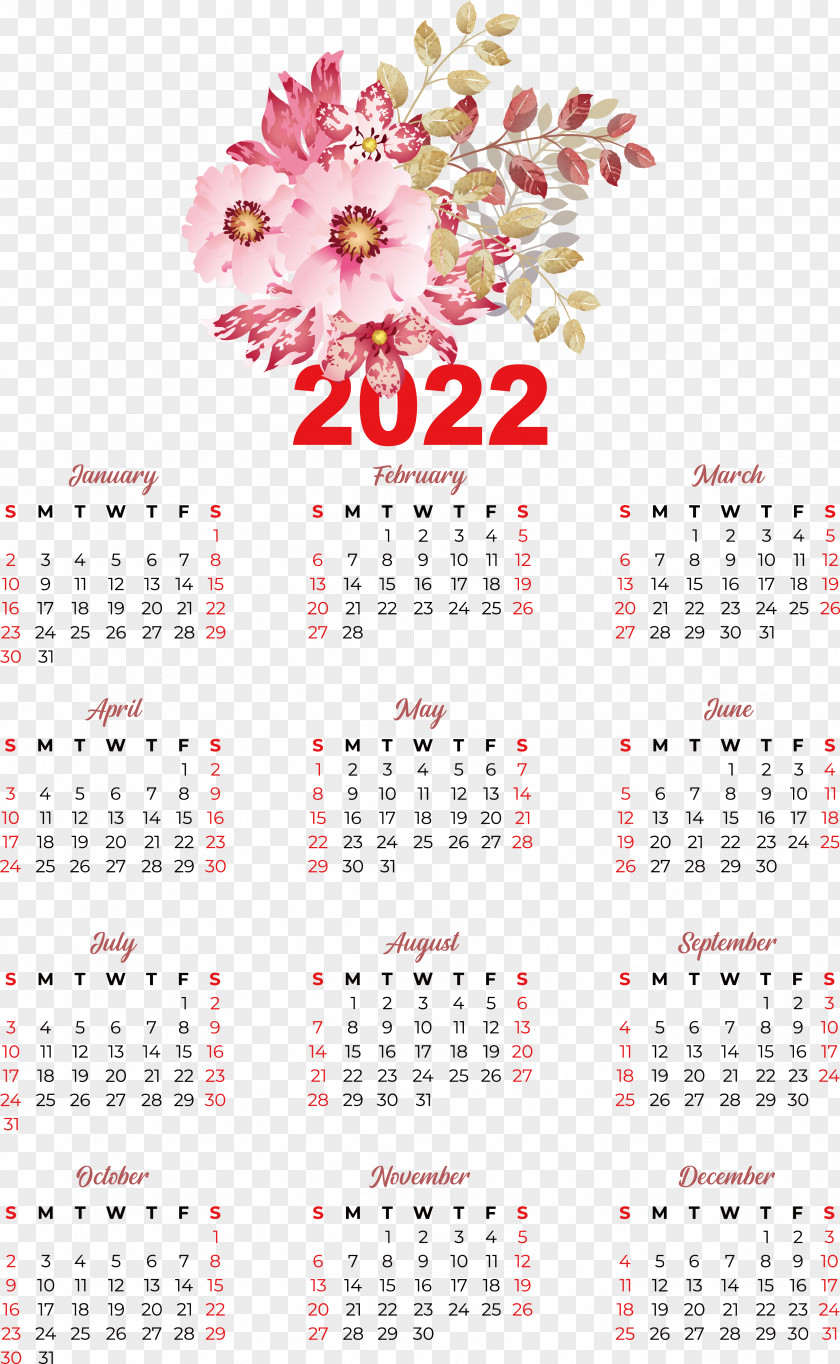Flower Calendar Font Petal Meter PNG