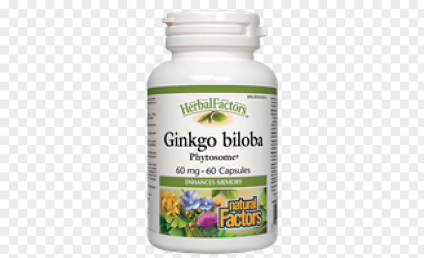 Ginkgo-biloba Phytosome Vegetarian Cuisine Ginkgo Biloba Health Food PNG