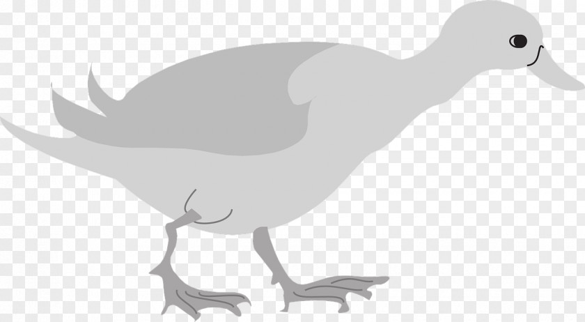 Gray Duck Goose Bird Cygnini Foot PNG
