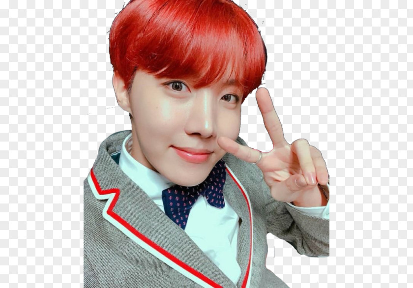 Jhope J-Hope BTS Daydream Hope World Drawing PNG
