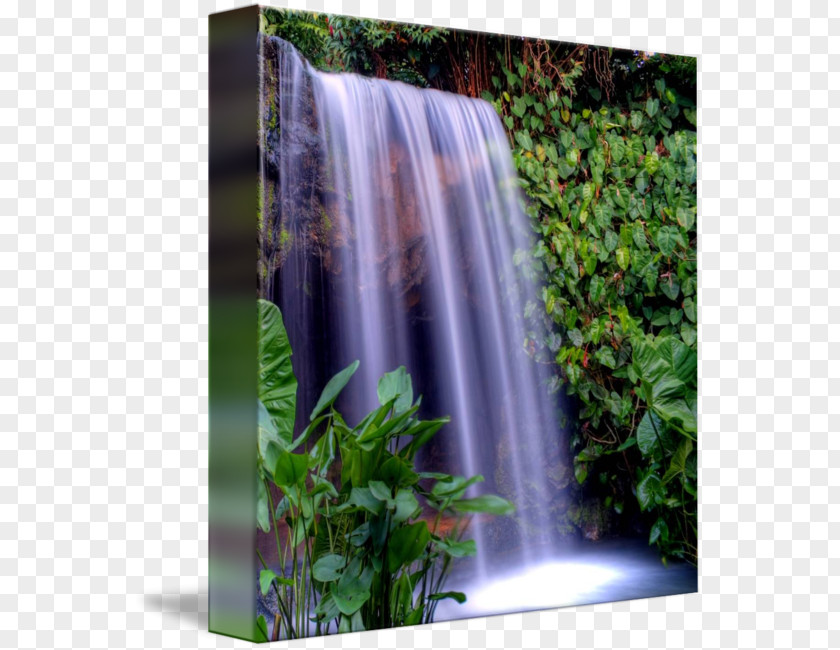 Park Waterfall Water Resources Nature Reserve Vegetation Watercourse PNG