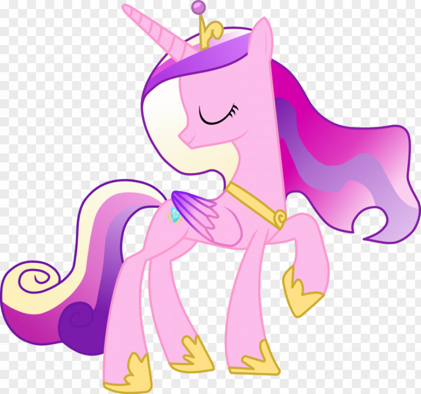 Princess Cadence Photos Cadance Pinkie Pie Celestia Rarity Twilight Sparkle PNG