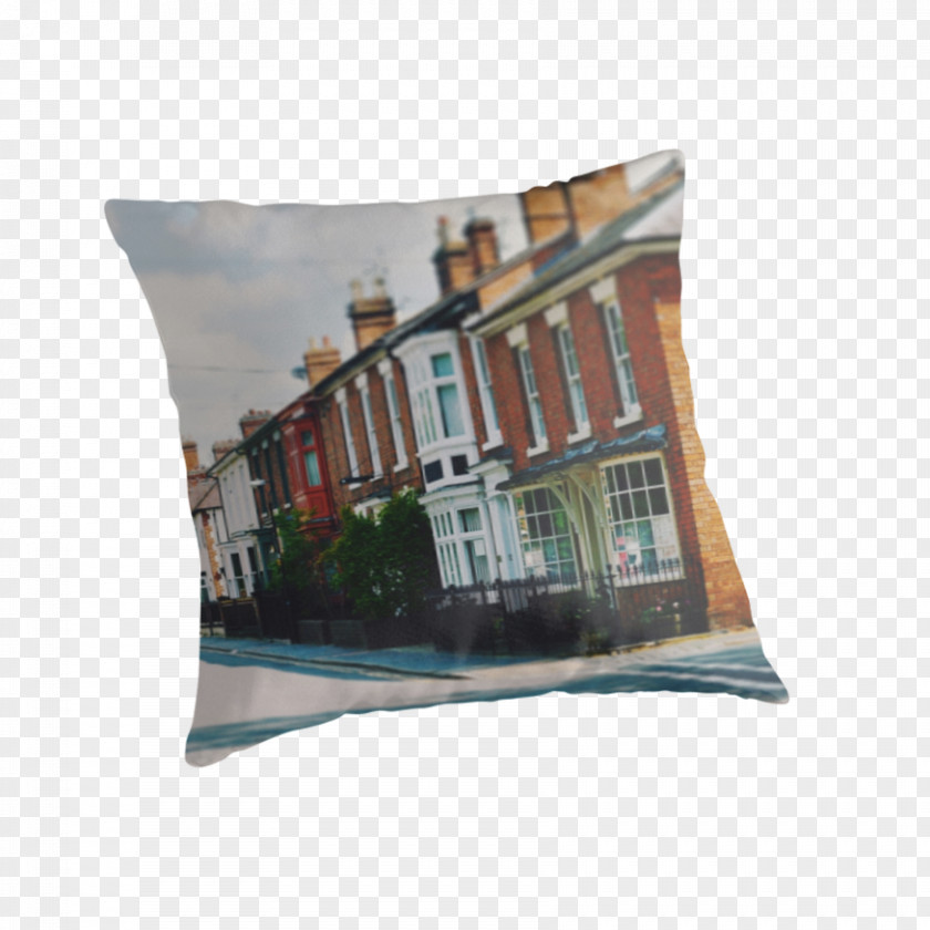 Throw Rubbish Pillows Cushion Rectangle PNG