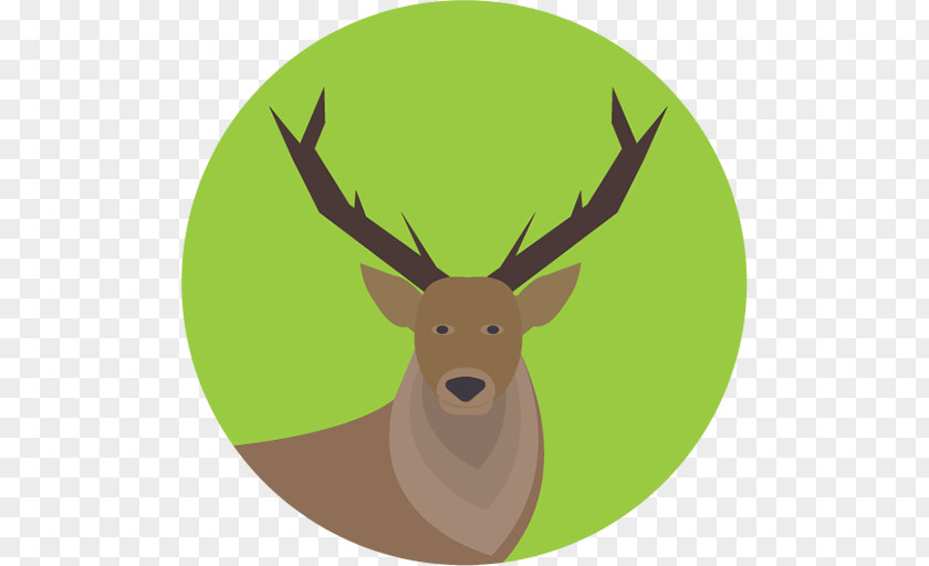 Elk Vector White-tailed Deer Moose PNG