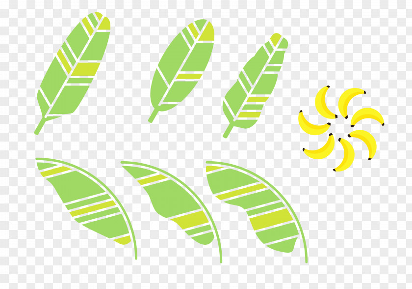 Feather Plant Banana Leaf PNG