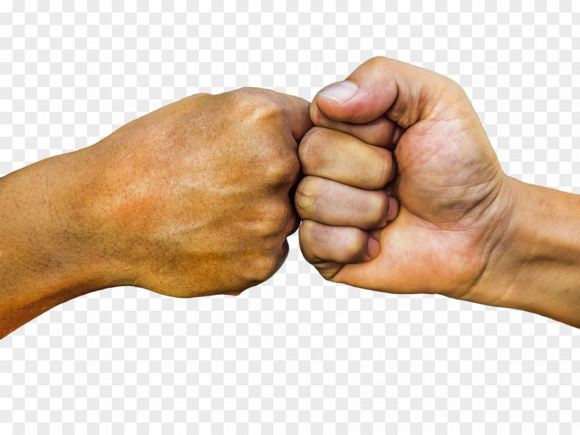 Hands Praying Punch PNG