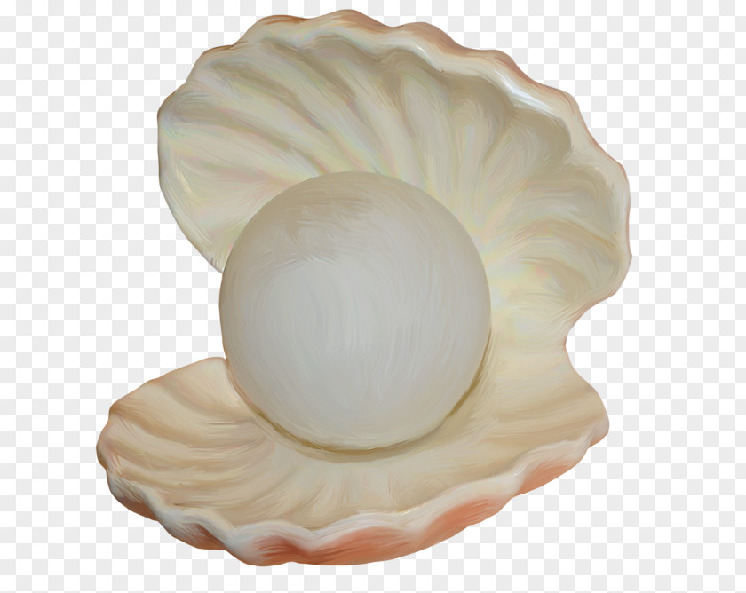 Seashell Mollusc Shell Molluscs Clip Art PNG
