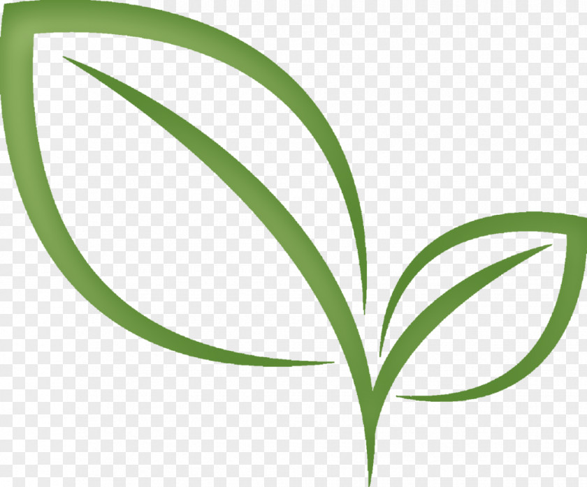 Tea Leaf Green Matcha Résumé Clip Art PNG
