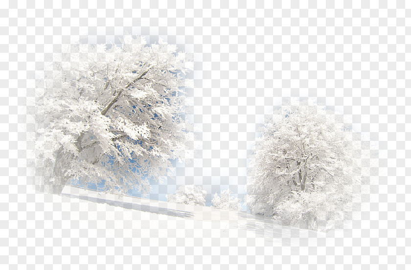 Winter Landscape Paysage D'hiver Desktop Wallpaper PNG