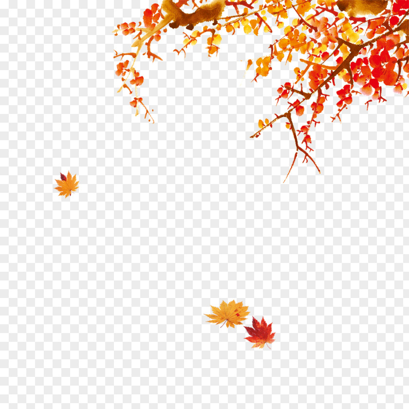 Autumn Leaves Are Beautiful Chinese New Year Bainian PNG