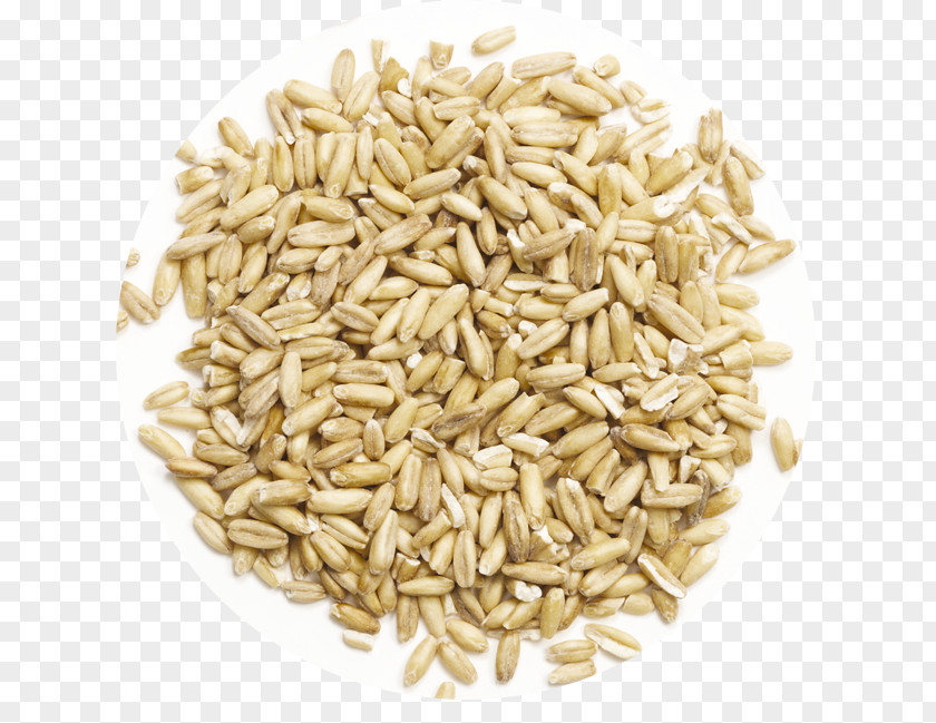 Barley Oat Pasta Muesli Whole Grain Cereal PNG