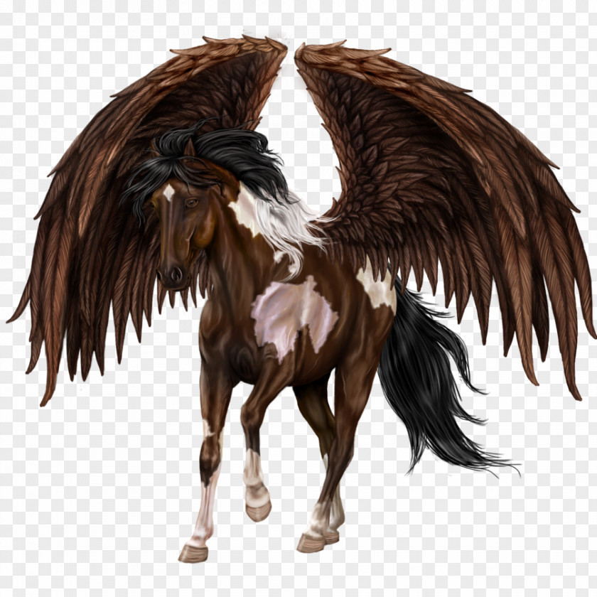 Mustang Howrse Mane Legendary Creature Pegasus PNG