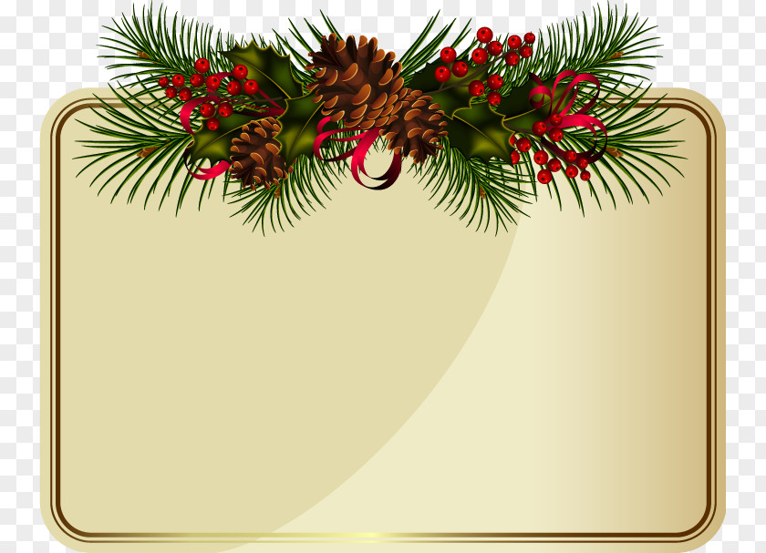 Avatar Outline Conifer Cone Christmas Pine Clip Art PNG