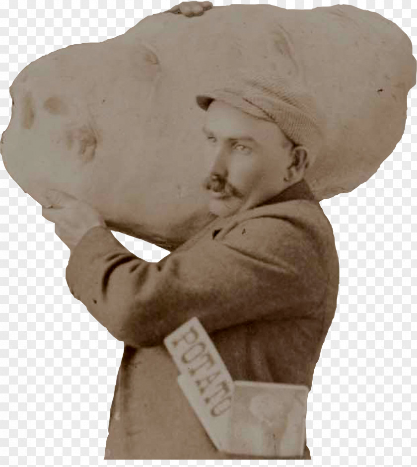 Ben Solo Tips Statue Potato Bust Loveland PNG