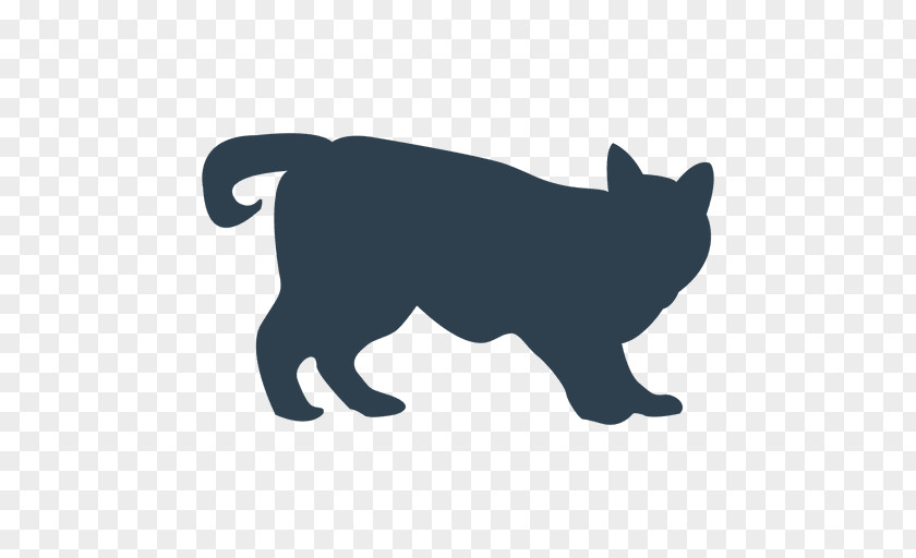 Dog Whiskers Black Cat Scottish Fold Breed PNG