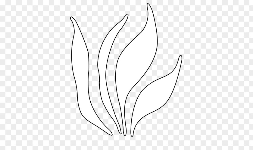 Grass Transparent /m/02csf Clip Art Petal Drawing Leaf PNG
