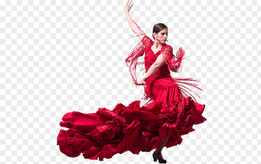 Guitar Flamenco Vivo Carlota Santana Dance Fandango PNG