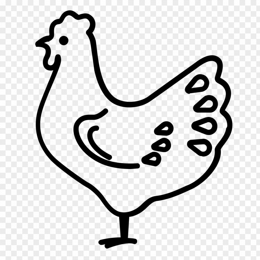 Livestock Poultry Bird Line Art PNG
