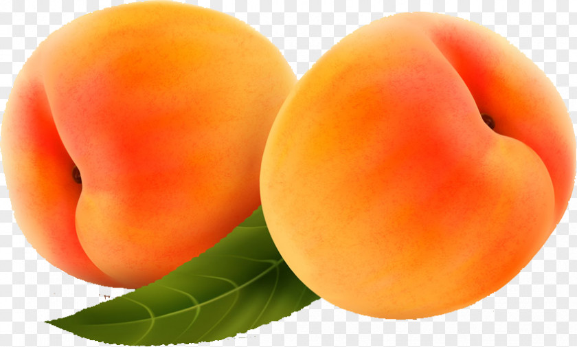 Peaches Apricot Peach Computer File PNG