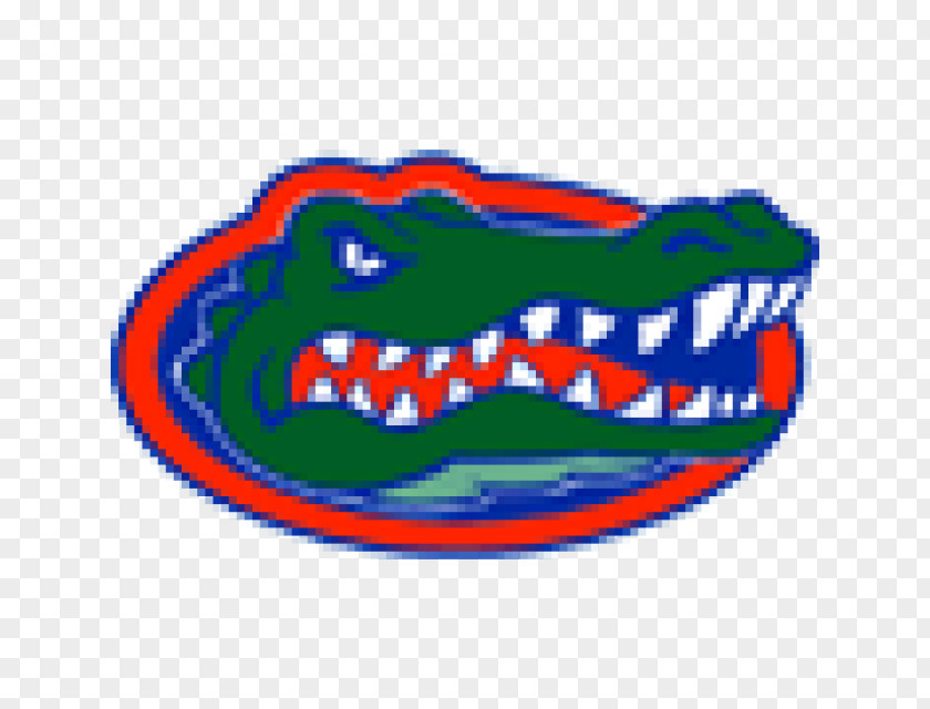 University Of Florida Gators Football NCAA Men's Division I Basketball Tournament State Seminoles PNG