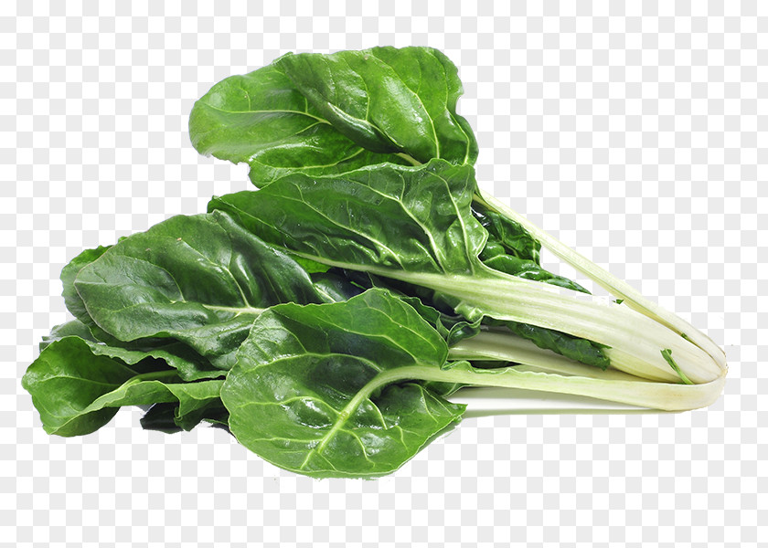 Vegetable Chard Spinach Greens Stock Photography PNG