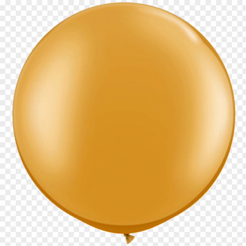 Balloon Toy Latex Pixie Party Supplies Metal PNG