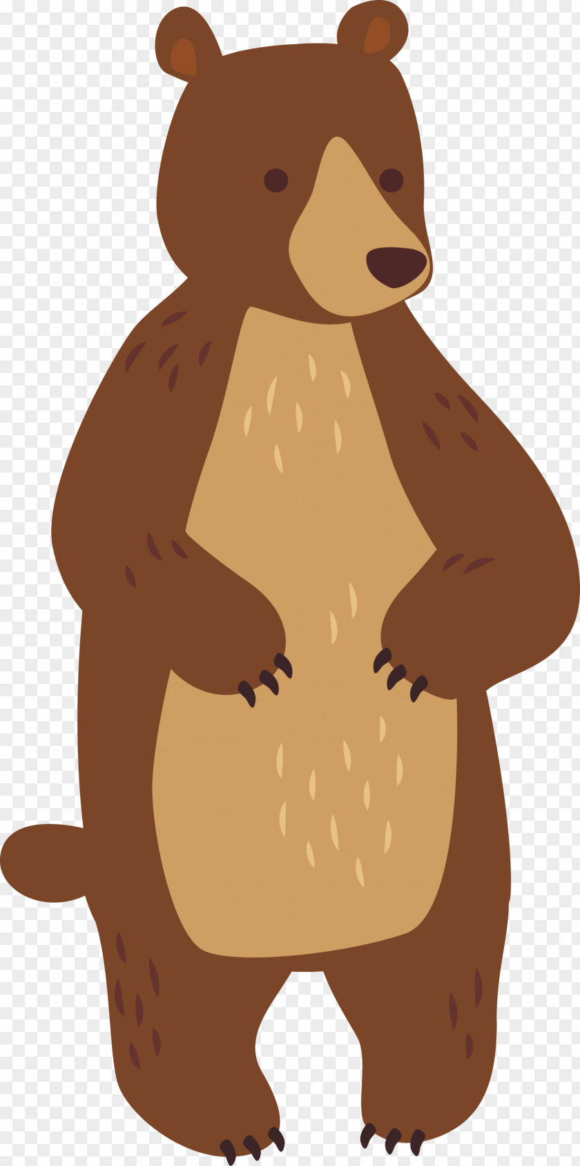 Bear Cartoon Design Adobe Illustrator PNG