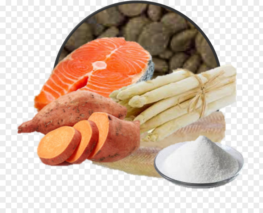 Dog Lox Food Smoked Salmon Cat PNG