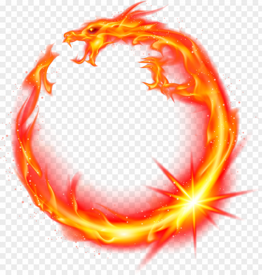 Orange Dragon Fire PNG