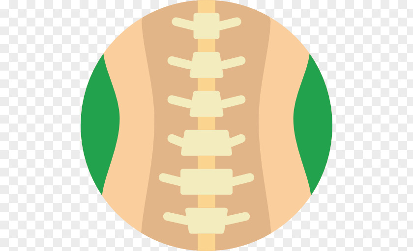 Columna Vertebral Column Lumbar Vertebrae Spinal Cord Human Body PNG