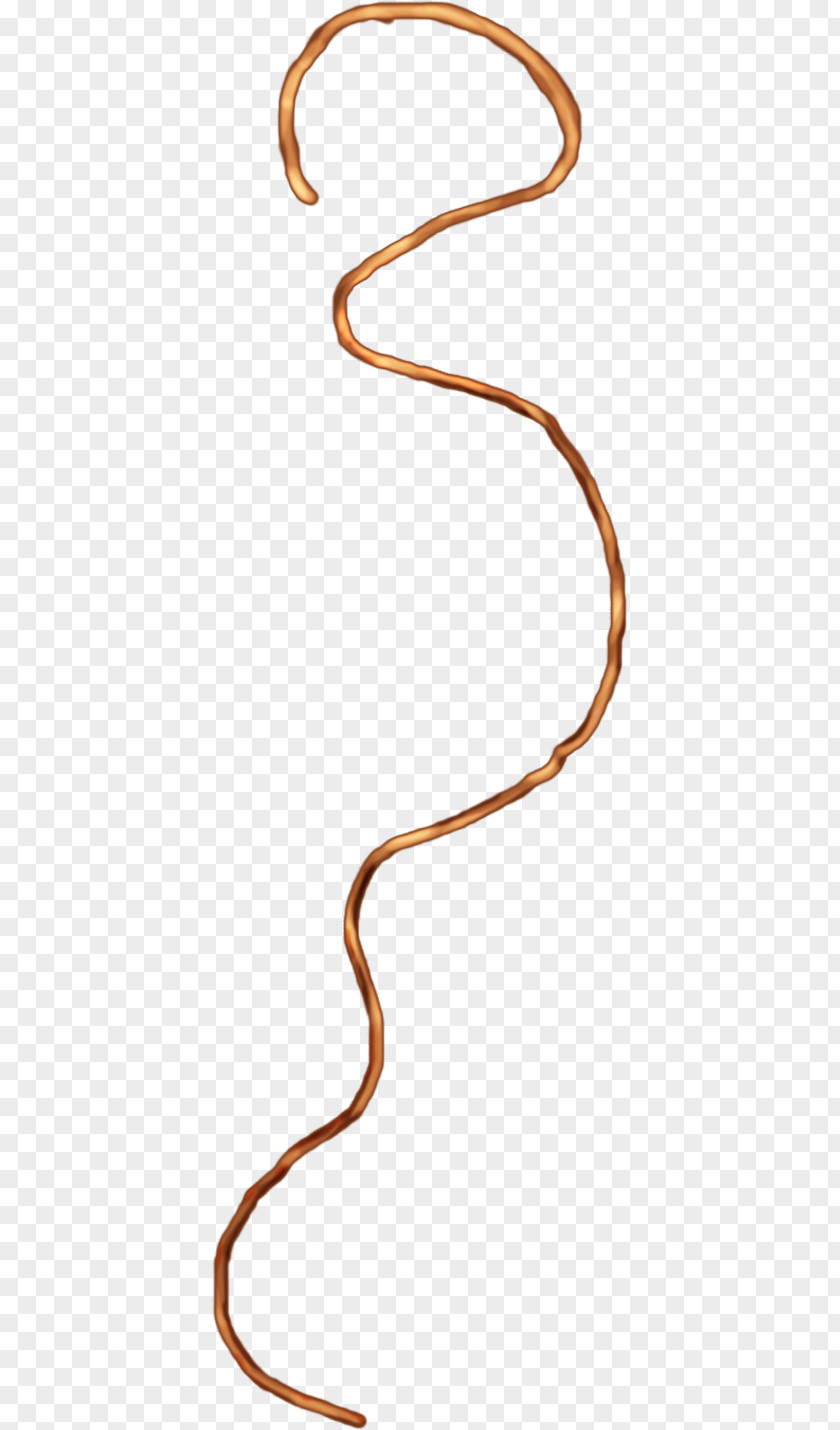 Hand-painted Rope Section Of The Line To Avoid Image Download Map Segment PNG