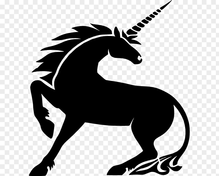 Horse Wall Decal Unicorn Sticker PNG