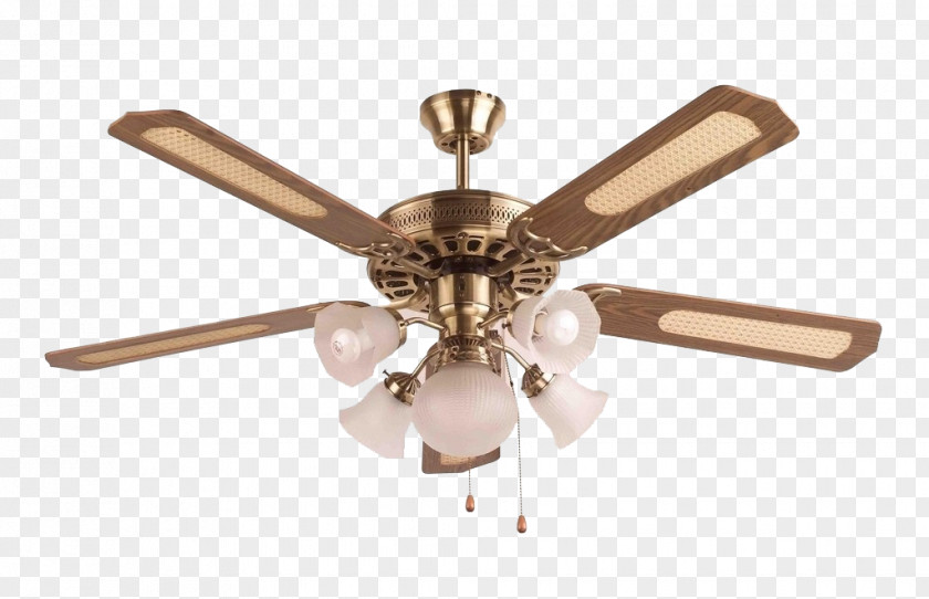 Personalized Ceiling Fan Lamp Light Fixture Lighting PNG