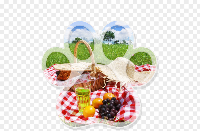 Piknik Picnic Potluck United States Blog PNG