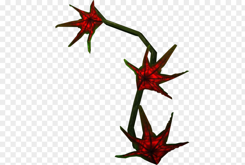 Plant Twig Stem Flowering Clip Art PNG