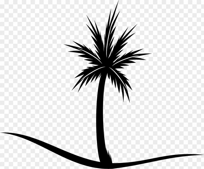 Tree Asian Palmyra Palm Clip Art Trees Coconut PNG