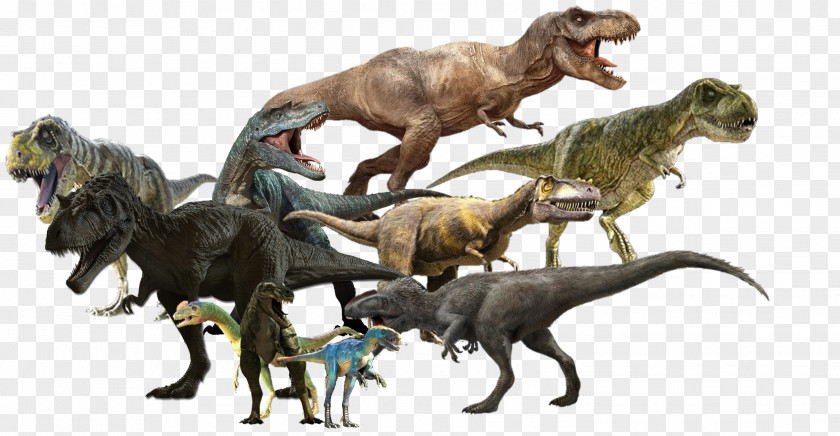 Tyrannosaurus Dinosaur King Guanlong Daspletosaurus Alioramus PNG