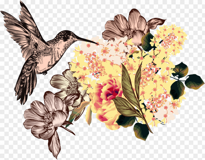 Vector Honey Bee Hummingbird Illustration PNG