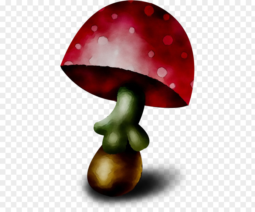 Cartoon Drawing Mushroom Download PNG