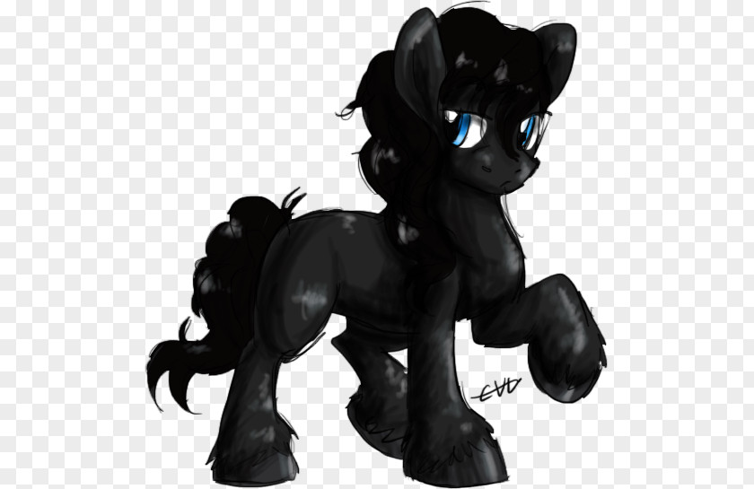 Cat Friesian Horse Pony Stallion Black PNG