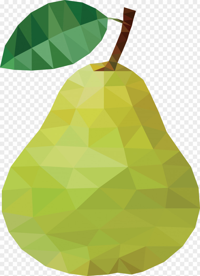 Creative Pears Pear Drawing PNG