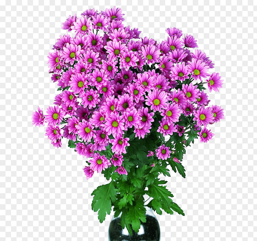Flower Kremenchuk Bouquet Chrysanthemum Cut Flowers PNG